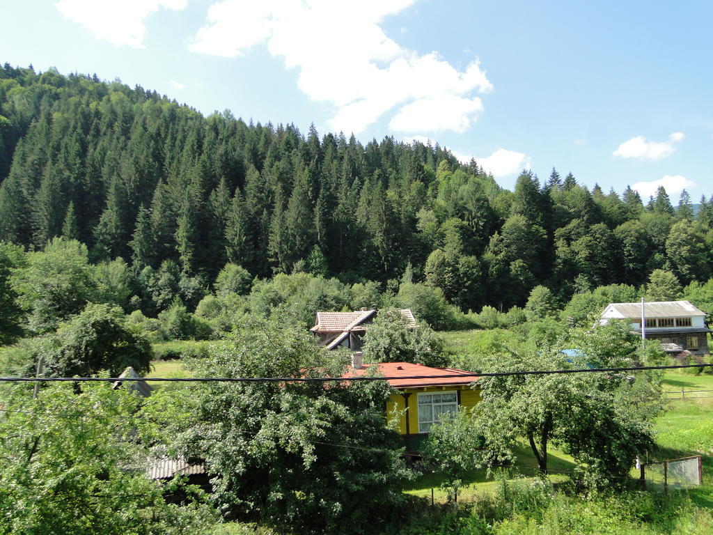 Villa Bilogirya Jaremtsje Eksteriør bilde